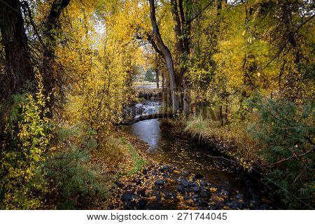 Beautiful Meandering Stream In A Forest With Bright Glowing Autumn Leaves In Kolob Reservoir Near Zi