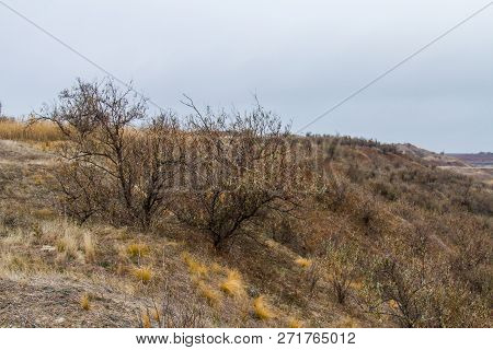 The Last Days In The Tavrian Steppe
