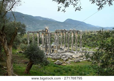 Columns Of The Ancient Temple Of Zeus At Euromos Was An Ancient City In Caria Anatolia Turkey