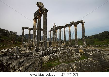 Columns Of The Ancient Temple Of Zeus At Euromos Was An Ancient City In Caria Anatolia Turkey