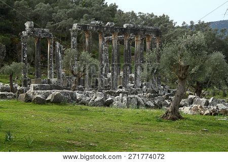 Columns Of The Ancient Temple Of Zeus At Euromos Was An Ancient City In Caria Anatolia Turkey