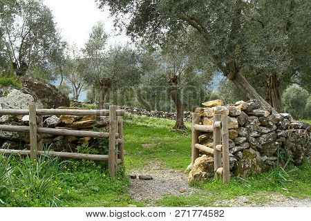 Ruined Walls Of Castle Over The Lake Bafa In A Nature Reserve Situated In Southwestern Turkey