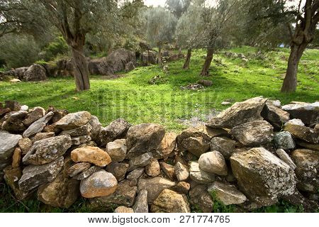 Ruined Walls Of Castle Over The Lake Bafa In A Nature Reserve Situated In Southwestern Turkey
