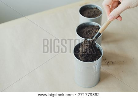 Womans Hand Puts Soil In Metallic Shovel Into Flowerpot, Stock Photo Image
