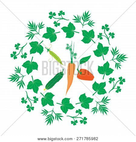 Cucumber, Pea Pod, Pepper, Carrot In A Round Frame Of Leaves