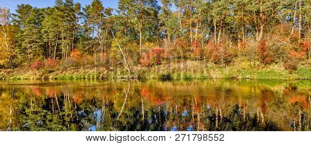 Golden Autumn At The River Panorama