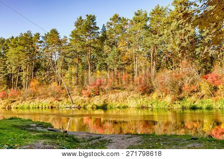 Autumn Trees By The River