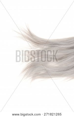 Closeup Grey Weft Of Hair Isolated On White