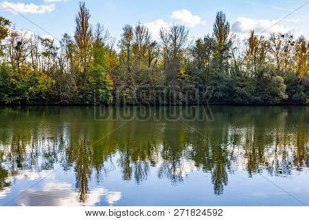 Tree At Oise River In Auvers-sur-oise Village