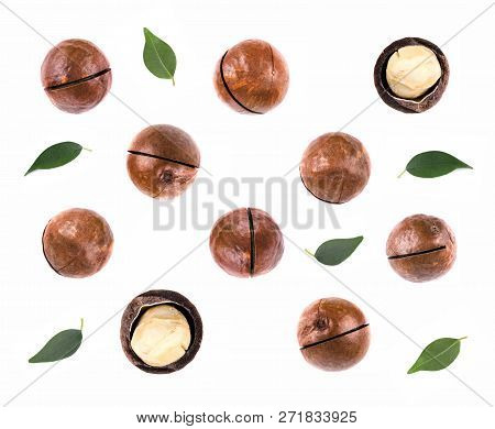 Macadamia Nuts With Leaves, Isolated On White Background. Shelled And Unshelled Macadamia. Top View.