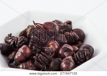 Edible Ant Traditional From Santander Region Of Colombia Called Hormiga Culona Which Literally Trans