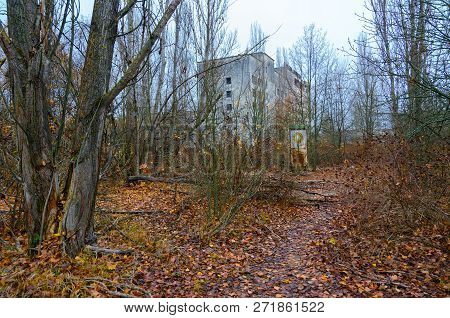 Thickets In Center Of Abandoned Ghost Town Pripyat, Chernobyl Npp Exclusion Zone, Ukraine. In Backgr