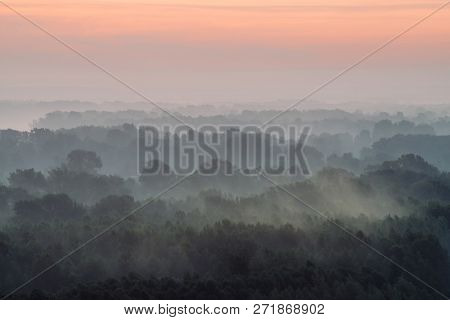 Mystical View From Top On Forest Under Haze At Early Morning. Eerie Mist Among Layers From Tree Silh