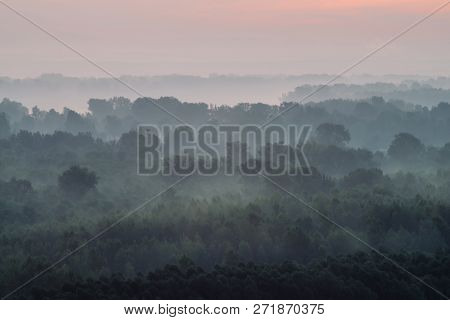 Mystical View From Top On Forest Under Haze At Early Morning. Eerie Mist Among Layers From Tree Silh