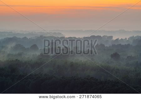 Mystical View From Top On Forest Under Haze At Early Morning. Mist Among Layers From Tree Silhouette