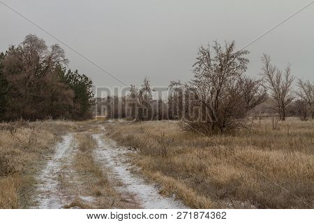 Tavrian Steppe Covered With Ice.