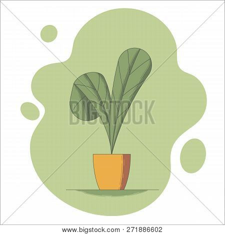 Houseplant In Flowerpot Vector Illustration In Flat Style - Indoor Decorative Flower With Two Big Le