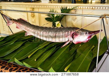 Fresh Ocean Fish Hanging Over Green Leaves In The Restaurant Background. Great Presentation Of Fresh