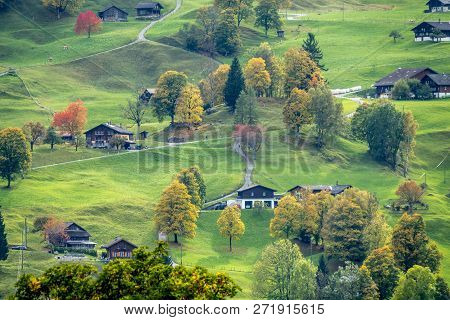 Amazing Dream Like Swiss Alpine Mountain Landscape, Wooden Chalets On Green Fields In Grindelwald Of