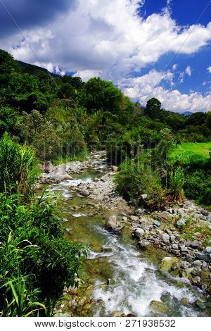 Landscape of Cocora valley, Salento, Colombia, South America