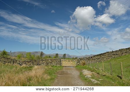 Path Through The Fields And Tarns On Claife Heights In The English Lake District