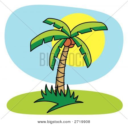 Cartoon Palm Tree Vector &amp; Photo | Bigstock