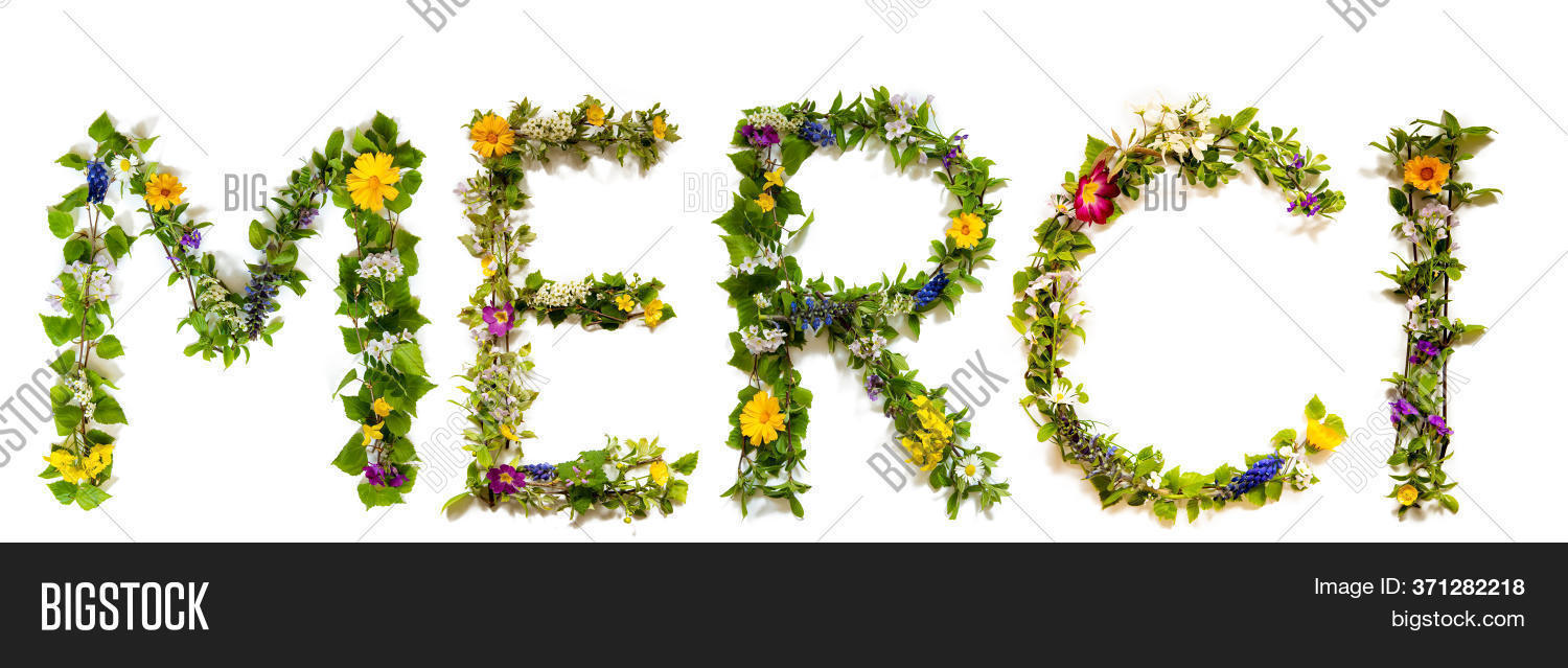 What Flower Symbolizes Thank You / Stockfoto Sunny Spring Flower Calligraphy Danke Means What
