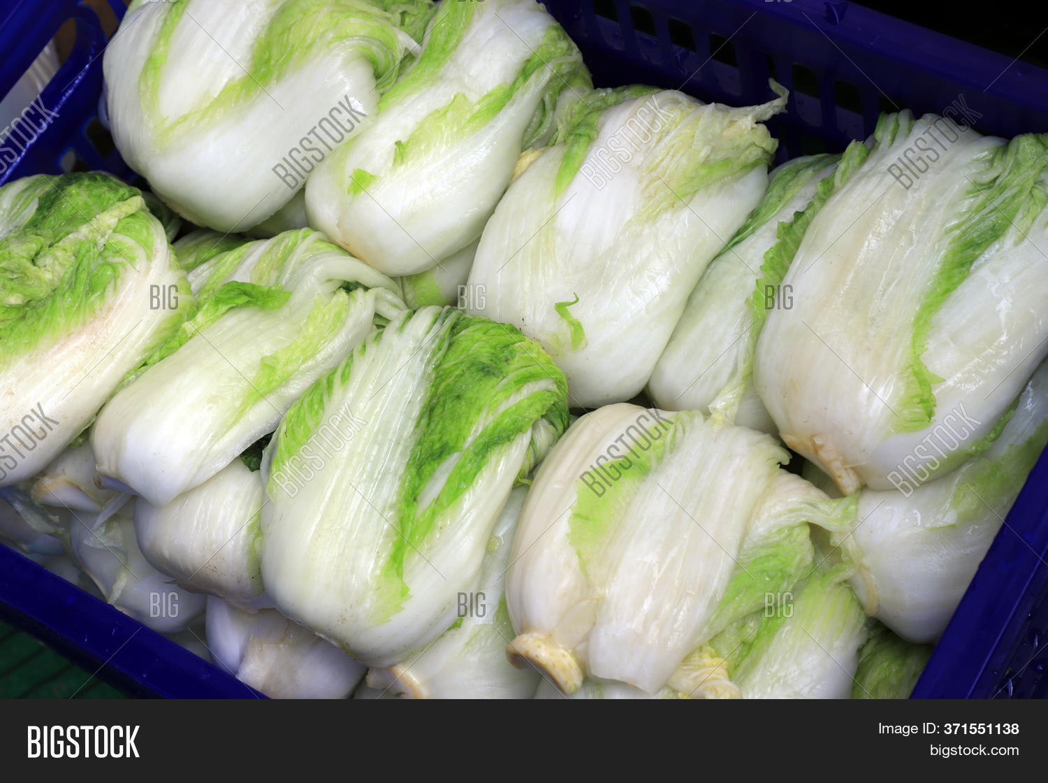 Cabbage Soaked Brine Image & Photo (Free Trial) Bigstock