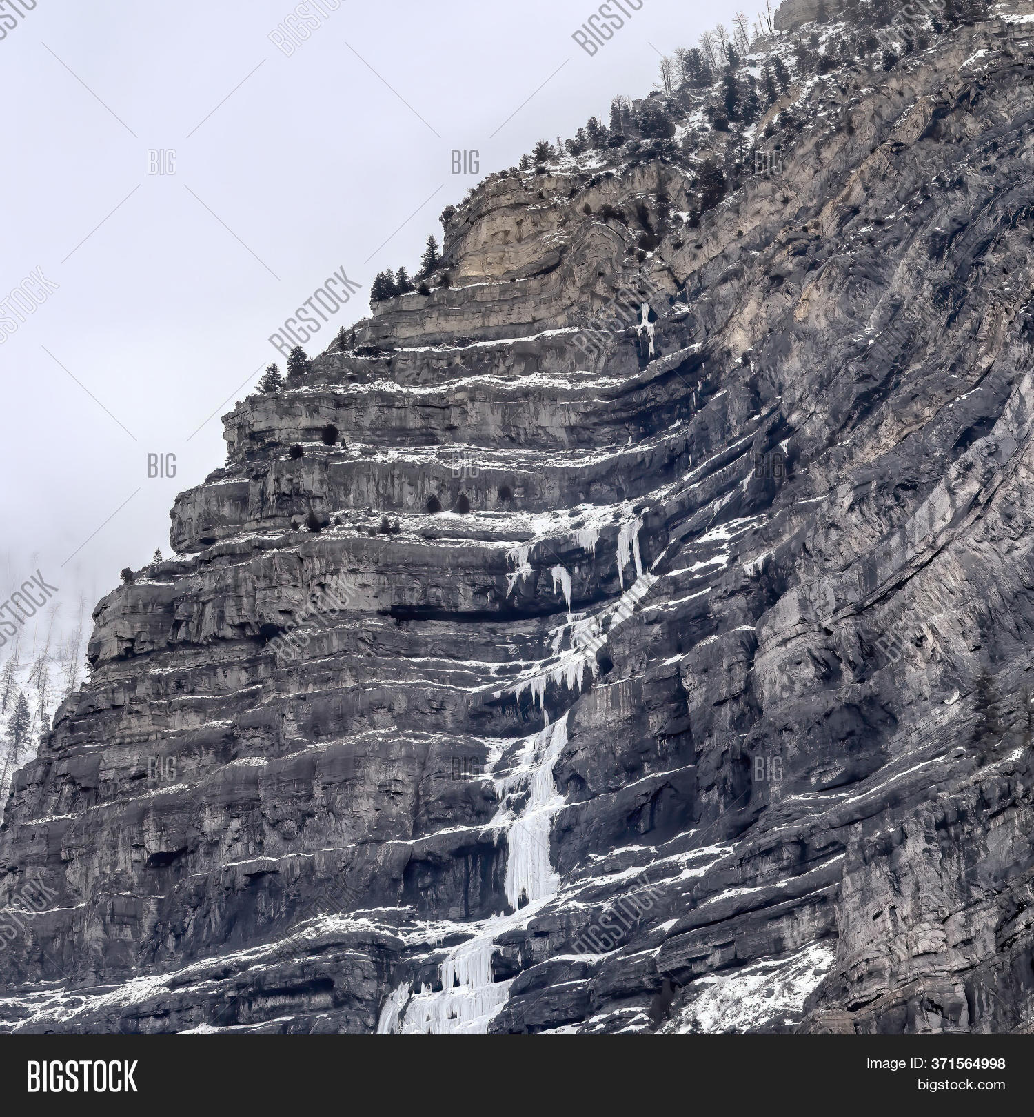 Square Crop Stunning Image Photo Free Trial Bigstock