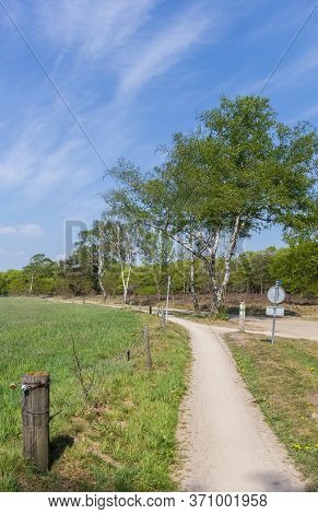 Bicycle Path In The Sallandse Heuvelrug National Park In The Netherlands