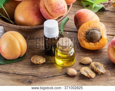 Apricot kernel oil and apricot kernels on wooden background.
