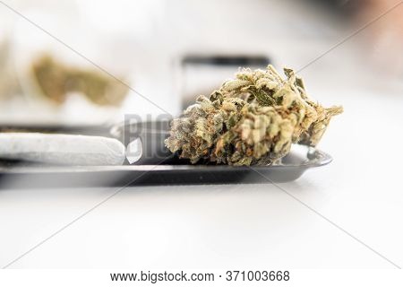 Grinder And Cannabis Weed Bud. The Pot Leaves On Buds Cbd. Marijuana Nature Bud Close Up. Thc Kief I