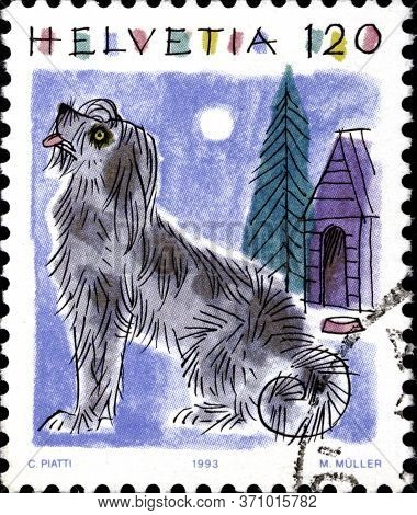 02 10 2020 Divnoe Stavropol Territorium Russia The Postage Stamp Switzerland 1993 Animalia Canis Can