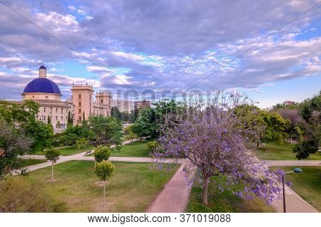 Valencia Turia River Gardens Jardin Del Turia, Fine Arts Museum, Leisure And Sport Area, Spain. Suns