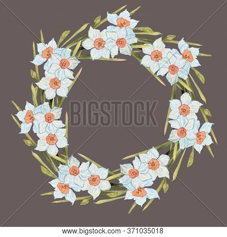 Botanical Wreath. Watercolor Illustration. Arrangement Of Flowers Daffodils. Watercolor Floral Wreat