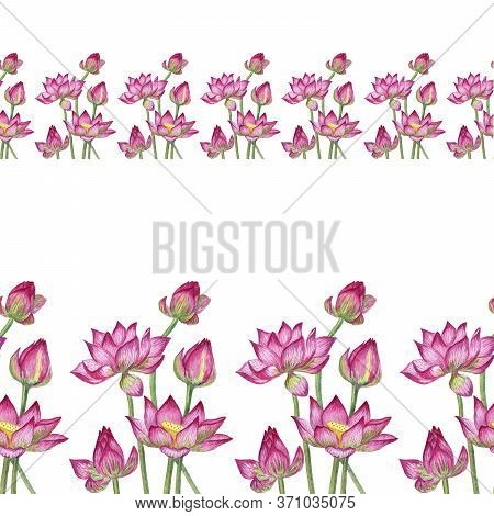 Seamless Ribbon Border Made Of Lotus Flowers. Pink Buds And Green Leaves. Design For Packaging, Fabr