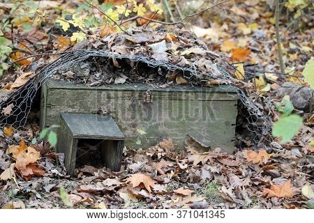 Hedgehog, Erinaceus Europaeus, Home Or House Made From Plywood And Covered With Wire And Leaves As A