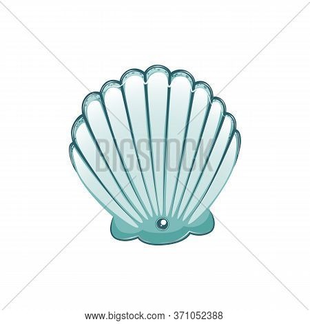 Turquoise Sea Shell Stock Vector Illustration Isolated On White Background