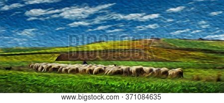 Bucolic Rural Landscape With Flock Of Sheep Grazing On Green Fields At The Way Of St. James. A Famou
