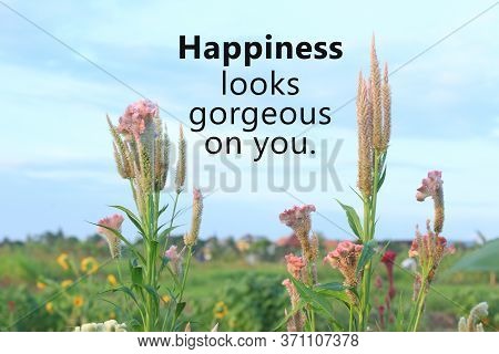 Inspirational Quote - Happiness Looks Gorgeous On You. On Background Of Beautiful Pink Chicken  Cock