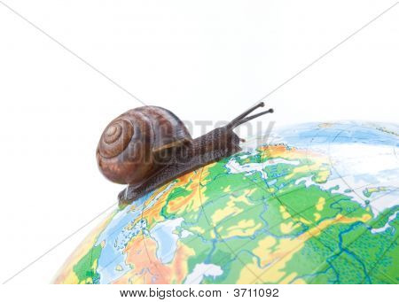 Jardin escargot sur le Globe