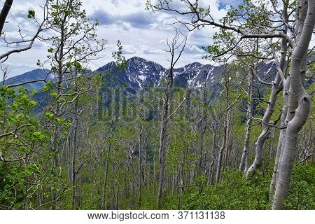 Rocky Mountain Wasatch Front Peaks, Panorama Landscape View From Butterfield Canyon Oquirrh Range To