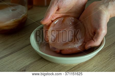 Mans Hands Holding Scoby. Preparing Probiotic Fermented Drink. Kombucha Tea For Good Balance Digesti