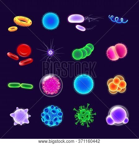 Bacteria Realistic Vector Icons Set. Pathogen Illustration. Microbiological Research. 3d Isolated Co