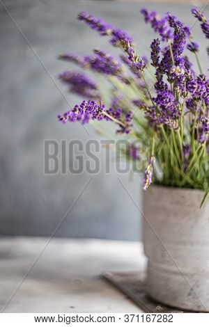 Minimalistic Interior Decor With Lavandula Flowers