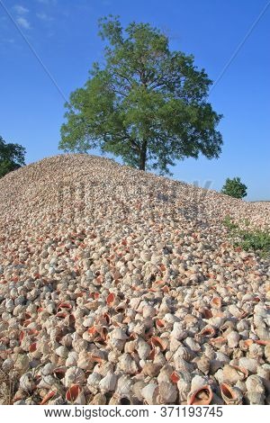 The Photo Was Taken In Odessa Region In Ukraine. The Picture Shows A Mountain Of Mollusk Shells Call