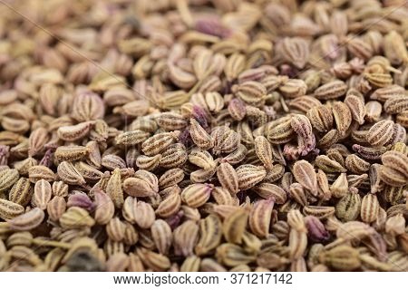 Ajwain Also Know As Ajowan, Caraway , Macro , Close Up