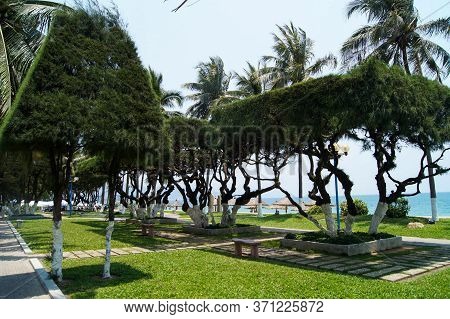 Nha Trang, Vietnam - April 8, 2016: Street Art For Triangle Tree