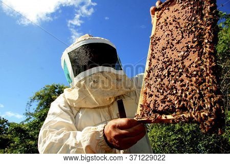 Eunapolis, Bahia / Brazil - May 11, 2009: Beekeeper Is Seen Next To The Bee Hive In The City Of Euna