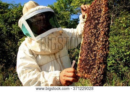 Eunapolis, Bahia / Brazil - May 11, 2009: Beekeeper Is Seen Next To The Bee Hive In The City Of Euna